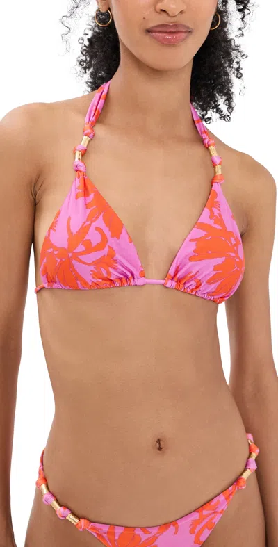 Vix Paula Hermanny Paula Bikini Top Coralshell In Multi