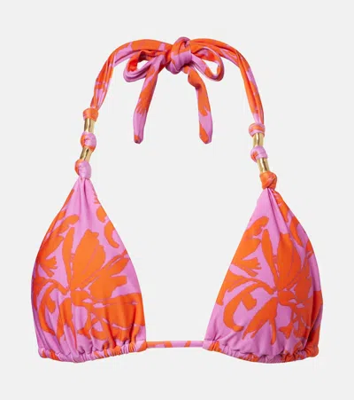 Vix Paula Hermanny Paula Printed Bikini Top In Pink