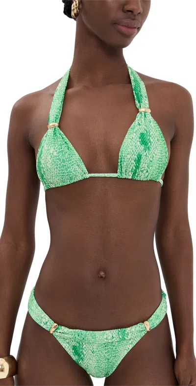 Vix Paula Hermanny Scandal Bia Bikini Top Multi In Green