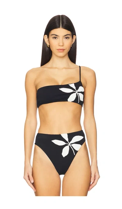 Vix Swimwear Susan Ana Bikini Top In Multi