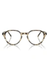 Vogue 48mm Phantos Optical Glasses In Mustard