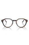 Vogue 50mm Phantos Optical Glasses In Dark Havana