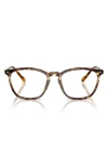 Vogue 51mm Pillow Optical Glasses In Mustard