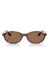 Vogue 52mm Oval Sunglasses In Dark Havana