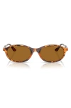 Vogue 52mm Polarized Oval Sunglasses In Yellow Havana