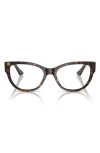 Vogue 53mm Cat Eye Optical Glasses In Dark Havana
