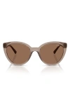 Vogue 53mm Cat Eye Sunglasses In Transparent Brown