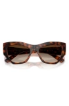 Vogue 53mm Irregular Sunglasses In Dark Havana