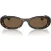 Vogue 53mm Oval Sunglasses In Dark Havanah/dark Brown