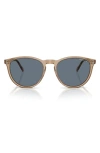 Vogue 53mm Phantos Sunglasses In Beige Polarized