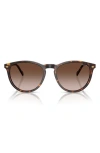Vogue 53mm Phantos Sunglasses In Dark Havana