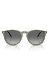 Vogue 53mm Phantos Sunglasses In Transparent Green