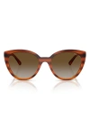 Vogue 53mm Polarized Cat Eye Sunglasses In Havana