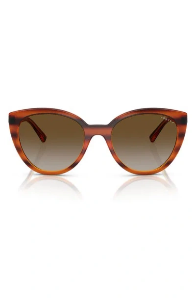 Vogue 53mm Polarized Cat Eye Sunglasses In Havana