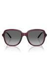 Vogue 53mm Polarized Square Sunglasses In Burgundy