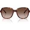 Vogue 53mm Polarized Square Sunglasses In Dark Havana