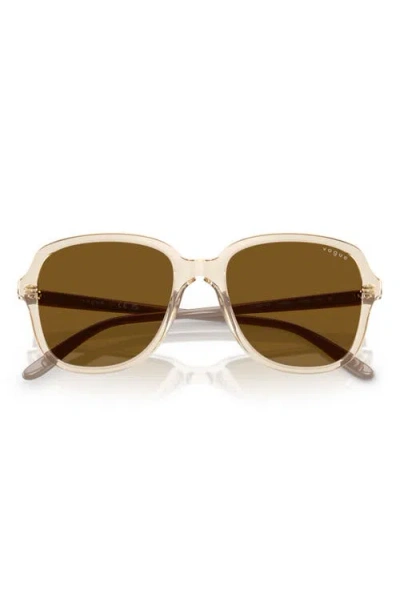 Vogue 53mm Square Sunglasses In Brown