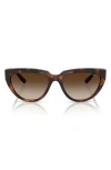 Vogue 54mm Irregular Sunglasses In Havana