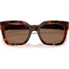 Vogue 54mm Polarized Square Sunglasses In Dark Havana