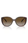 Vogue 55mm Polarized Gradient Butterfly Sunglasses