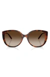 Vogue 55mm Polarized Gradient Butterfly Sunglasses