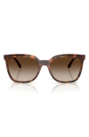 Vogue 55mm Polarized Gradient Square Sunglasses In Brown