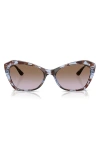 Vogue 56mm Cat Eye Sunglasses In Blue Havana
