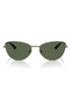 Vogue 56mm Polarized Butterfly Sunglasses In Lite Brown