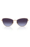 Vogue 56mm Polarized Butterfly Sunglasses In Rose Gold