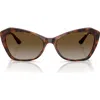 Vogue 56mm Polarized Gradient Cat Eye Sunglasses In Dark Havana