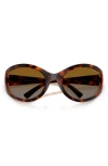 Vogue 65mm Oversize Oval Sunglasses In Dark Havana