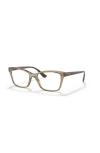 Vogue Eyewear 53mm Rectangle Optical Glasses In Brown