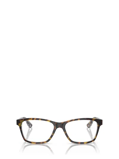 Vogue Eyewear Eyeglasses In Brown
