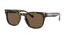 Vogue Eyewear Man Sunglass Vo5571s In Dark Brown