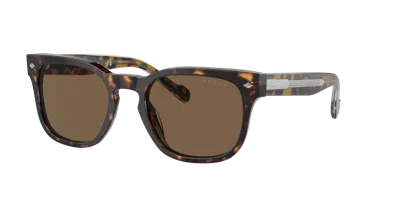 Vogue Eyewear Man Sunglass Vo5571s In Dark Brown