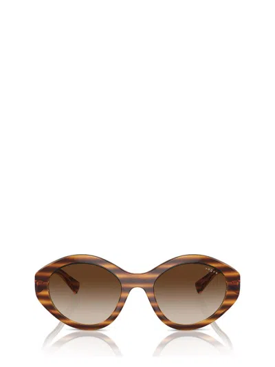 Vogue Eyewear Sunglasses In Striped Dark Havana