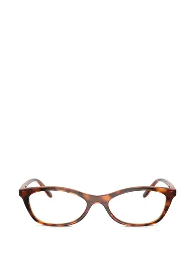 Vogue Tortoiseshell Glasses