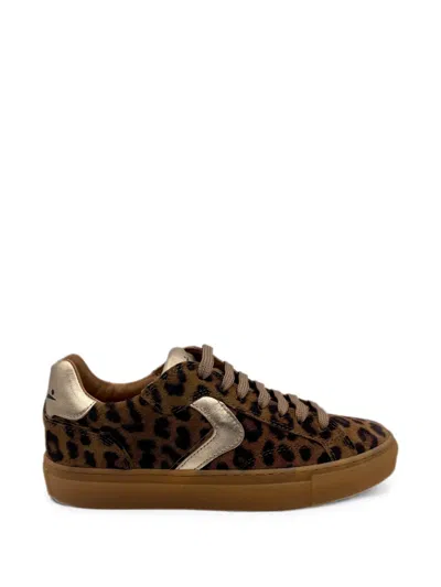 Voile Blanche Capri Leopard-print Sneakers In Brown