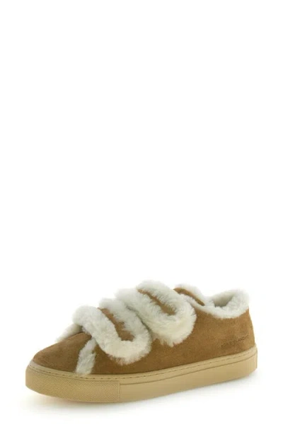Voile Blanche Gretha Genuine Shearling Sneaker In Brown