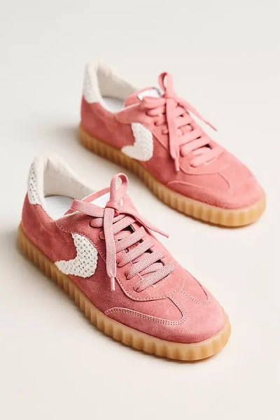 Voile Blanche Ines Court Sneakers In Multi