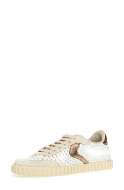 Voile Blanche Ines Perforated Low Top Sneaker In White Cipria