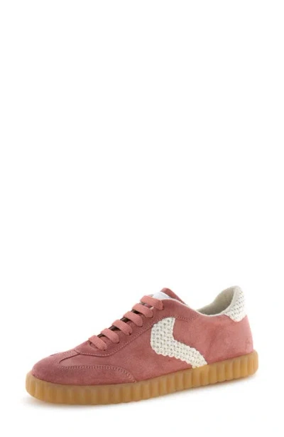 Voile Blanche Ines Sneaker In Brown