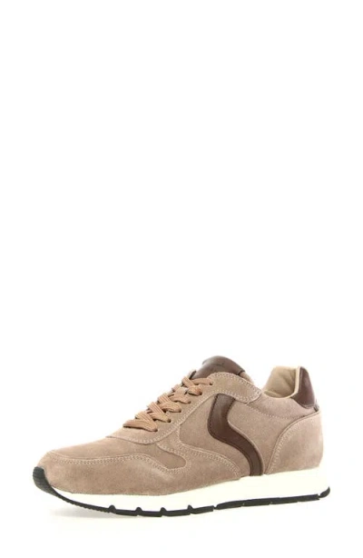 Voile Blanche Julia Sneaker In Brown