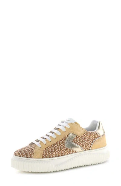 Voile Blanche Lipari Piped Sneaker In Gold