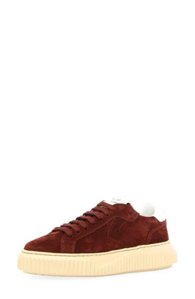 Voile Blanche Lipari Sneaker In Brown