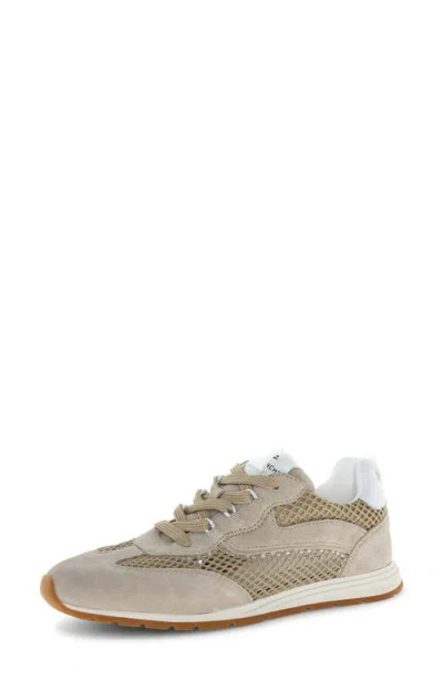 Voile Blanche Play Mesh Sneaker In Neutral