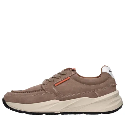 Voile Blanche Sneakers In Brown