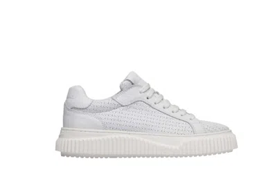 Voile Blanche White Lipari Sneaker In Bianco Chiari E Naturali