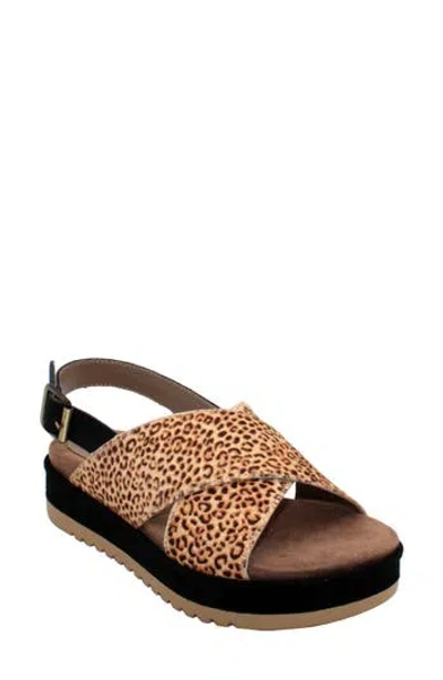 Volatile Calabar Genuine Calf Hair Platform Sandal In Tan Leopard
