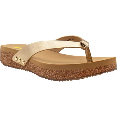 Volatile Reishi Platform Flip Flop In Gold